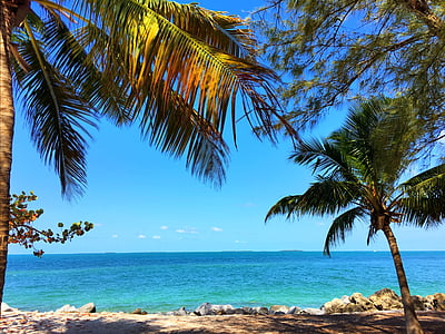 scenery of beach shore thumbnail