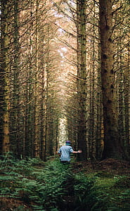 Man in a Forest thumbnail
