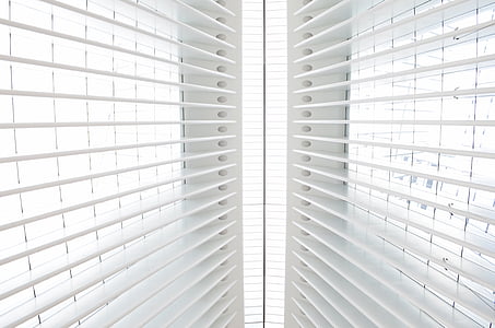 white window blinds thumbnail