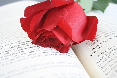 rose-red-flower-book-thumb.jpg