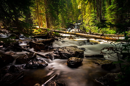 timelapse photograph of river on forest thumbnail