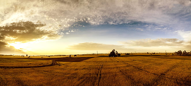 rice field under blue and white clouds at daytime thumbnail