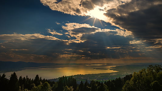 trees near bodies of water under blue sky and white clouds during daytime thumbnail