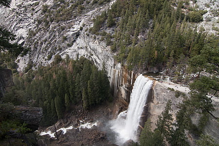 waterfalls near trees thumbnail
