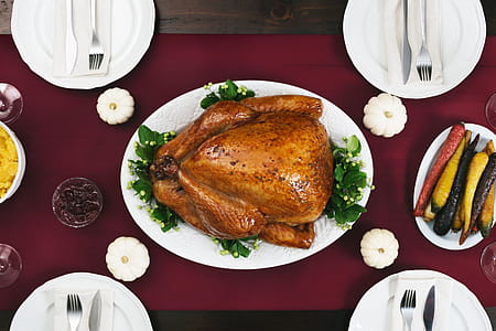 Thanksgiving Turkey Dinner Photo thumbnail