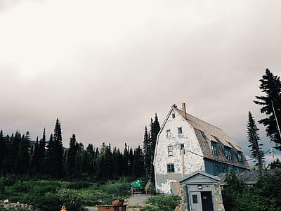 landscape photography of house surrounded by trees thumbnail