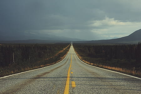 road between trees thumbnail
