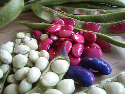 pink, white, and blue bean lot on gray surface thumbnail