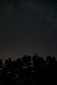 stars over silhouette of tree during nighttime thumbnail