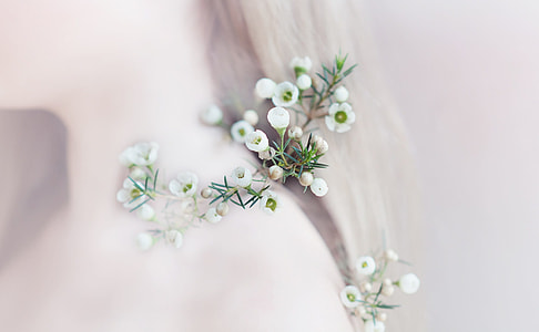 tilt shift lens photography of white flowers thumbnail