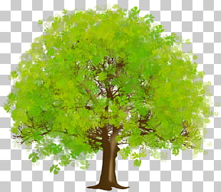 Tree Green , Large Green Tree , green and brown tree PNG clipart