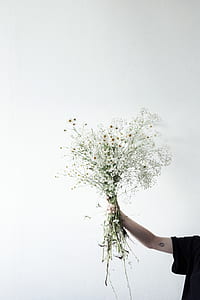 person holding baby's breath flowers thumbnail