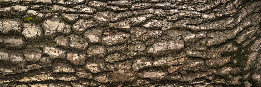 brown tree log thumbnail