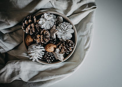 pine cone on bowl and cloth thumbnail