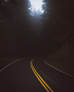 roadway beside trees during day time thumbnail