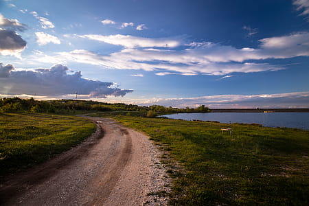 Pathway Surrounded by Grass thumbnail
