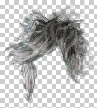Hairstyle Wig Girl Hair Women S Wig Illustration Png Clipart