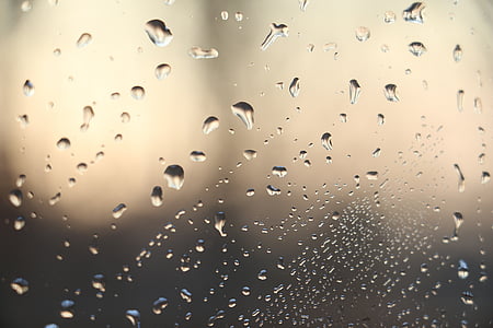 water, glass, window, drops, drops of water, drop thumbnail