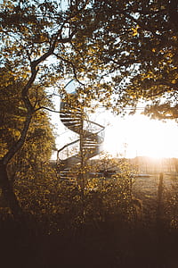 photo of green trees near spiral stair thumbnail
