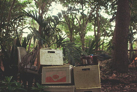 gray plastic storage boxes near green leafed plants thumbnail