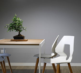 wooden table with plant decor and chairs thumbnail