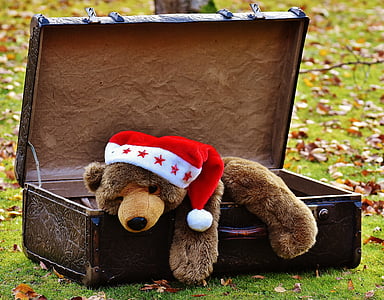 brown bear plush toy in luggage bag thumbnail