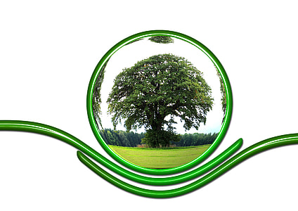 green tree thumbnail