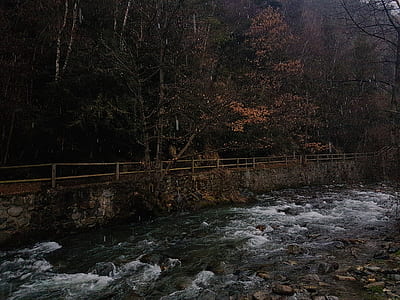 time-lapse photography of river near trees thumbnail