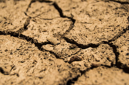 cracked dry soil closeup photography thumbnail