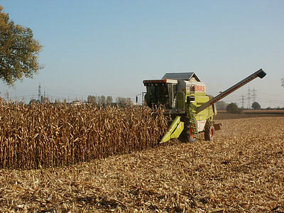 green and white harvester on field during daytime thumbnail