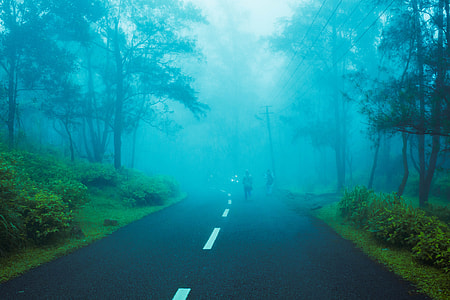 person jogging on road between green trees with fogs thumbnail