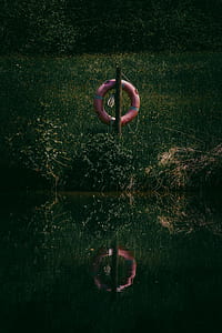 Red Wooden Float on Swamp thumbnail