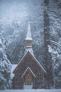 snow covered house between trees thumbnail