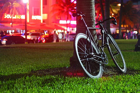 black road bicycle leaning on tree thumbnail