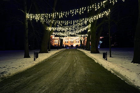 narrow path with string light turned-on thumbnail
