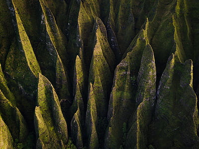 shallow focus of green mountain thumbnail