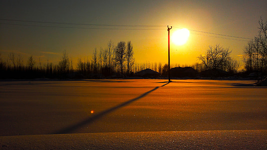 silhouette photography of trees beside road thumbnail