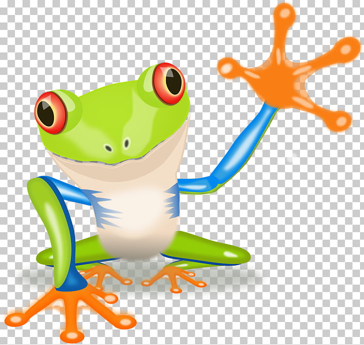 99 Poison Dart Frog Png Cliparts For Free Download Uihere