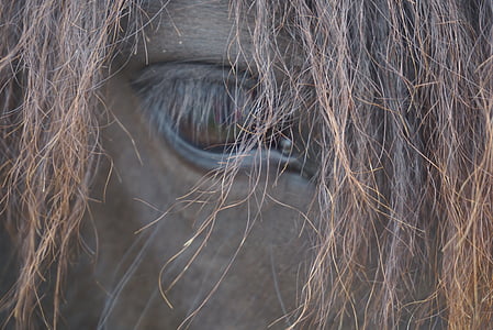 face covered with hair thumbnail