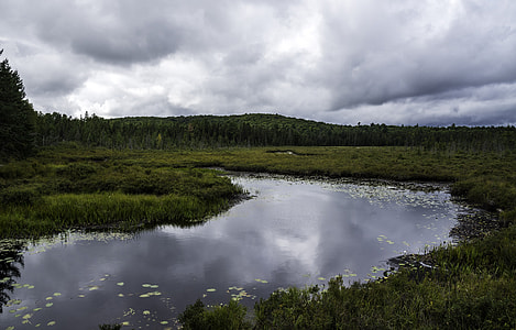 Pond and nature landscape in Algonquin Provincial Park, Ontario thumbnail