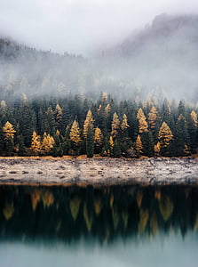photo of trees covered with mist on mountain range with reflection on body of water thumbnail