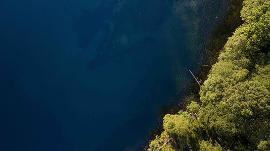 aerial photography of forest thumbnail