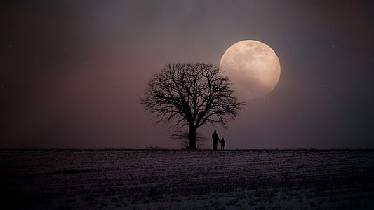 father and child standing beside baretree looking moon thumbnail