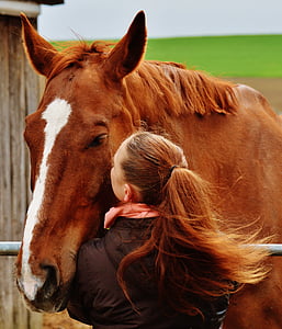 girl kissing brown horse thumbnail