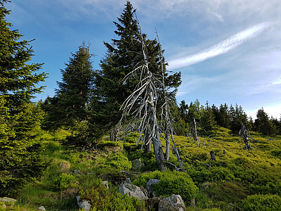 Krkonoše Giant Mountains, Mountains thumbnail