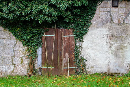 closed door and surrounded by plants thumbnail