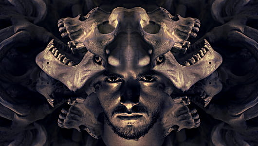 bearded man beside human skulls thumbnail