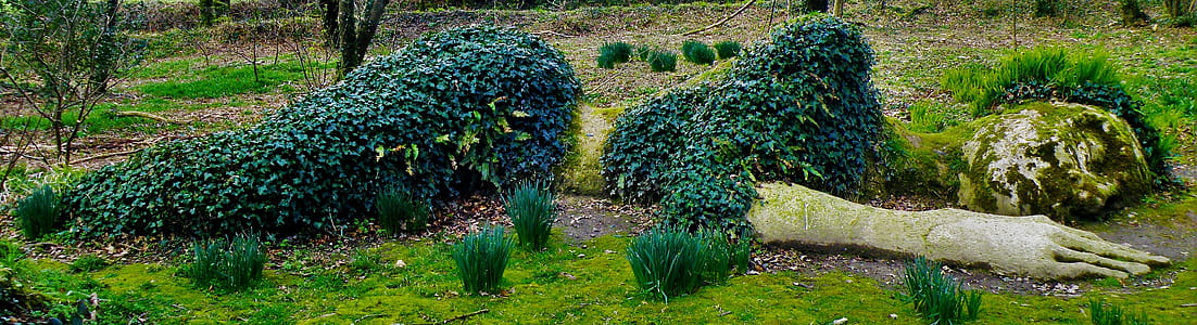 selective focus photography of grass woman topiary thumbnail