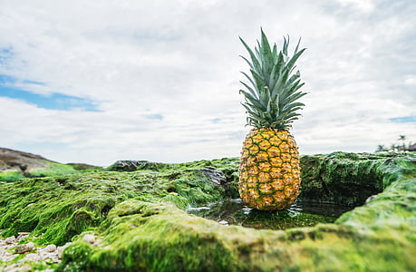 food, fruit, moss, Mossy rocks, outdoors thumbnail