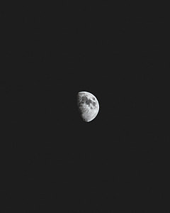 white moon photography thumbnail